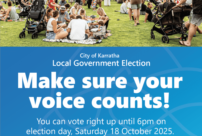 Vote Now in the Local Government Elections