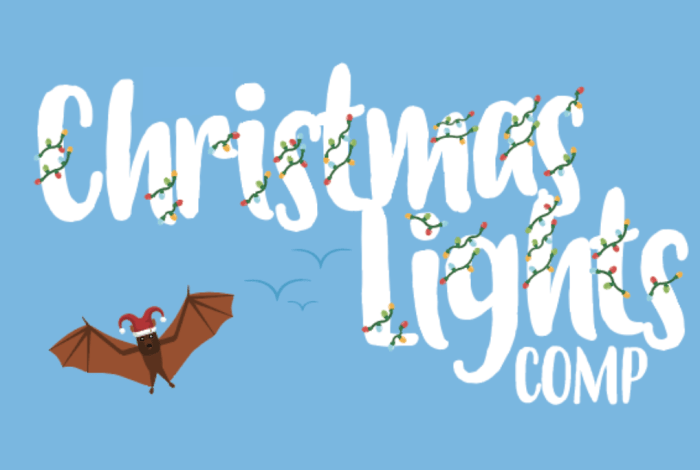 Christmas Lights Competition