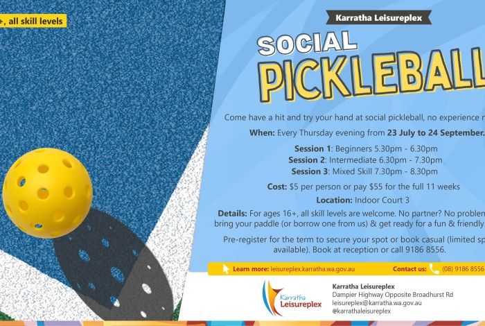 Info graphic for Social Pickleball with Pickleball on court surface 