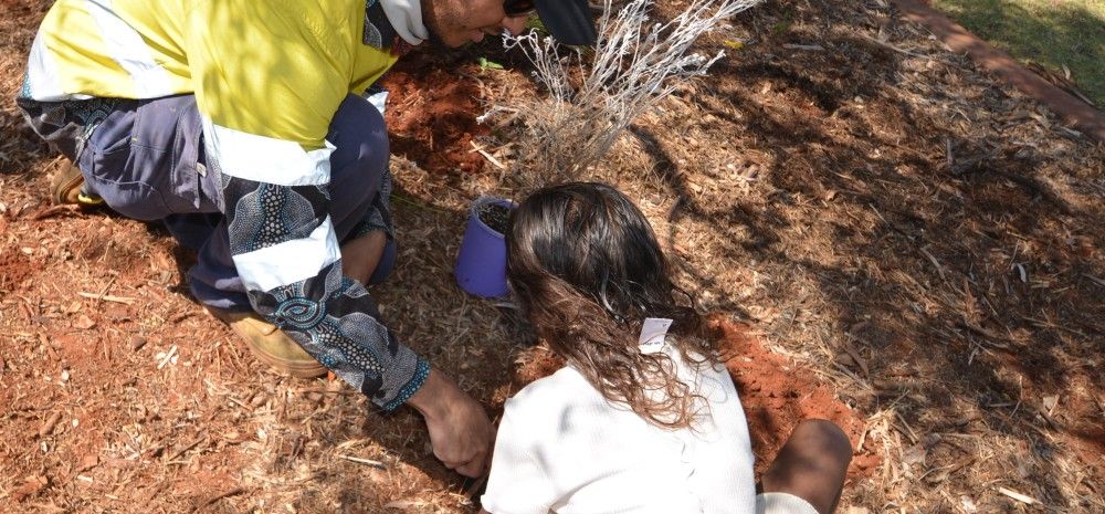 Wickham Lions Park Planting Project