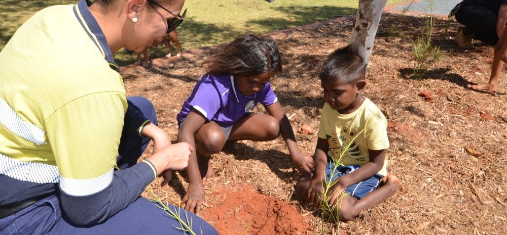 Wickham Lions Park Planting Project