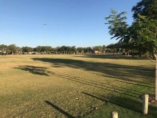 turf renovation works